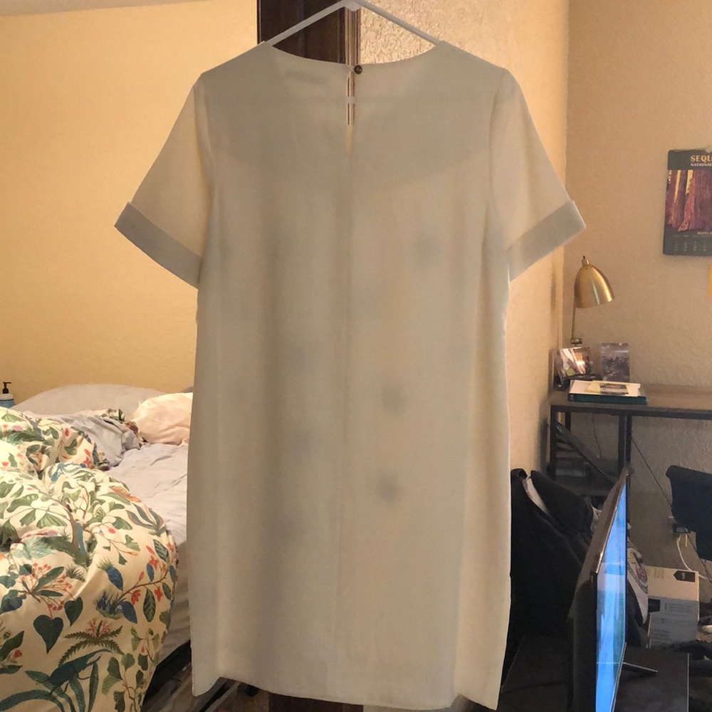 Darling Shift Dress - Picture 5 of 8